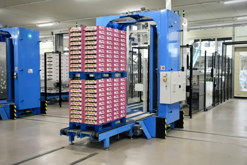 Automated pallet handling station with a pallet of cases on a conveyor